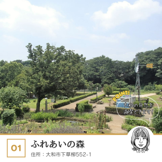 スタッフおすすめ！大和市の魅力的な公園